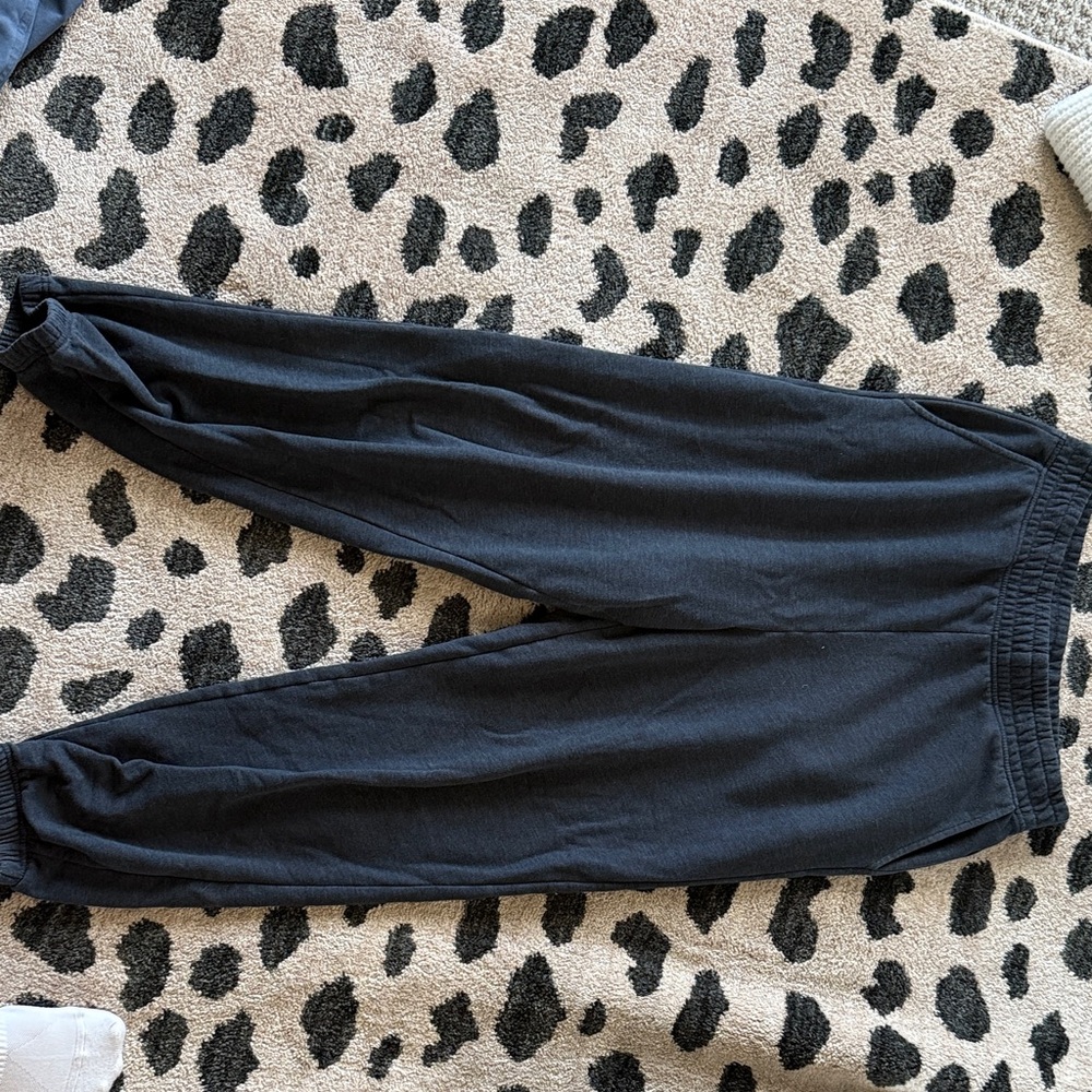 Navy American Eagle Joggers